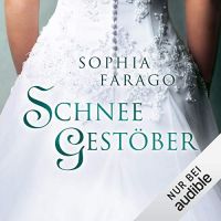 Schneegestöber Schneegestöber